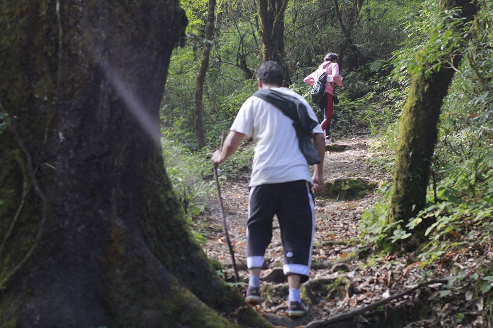 Shivapuri Day Hiking